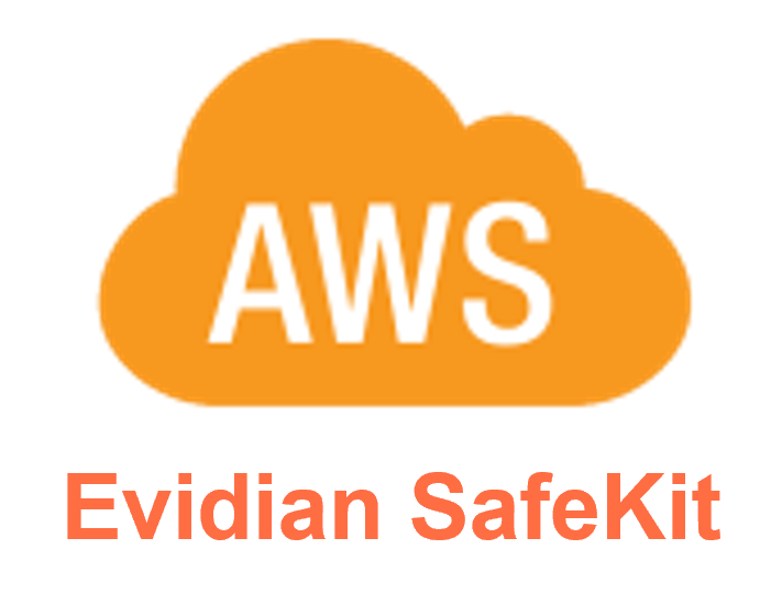 Evidian SafeKit in the Amazon AWS Cloud